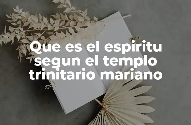 Que es el Espiritu Segun el Templo Trinitario Mariano