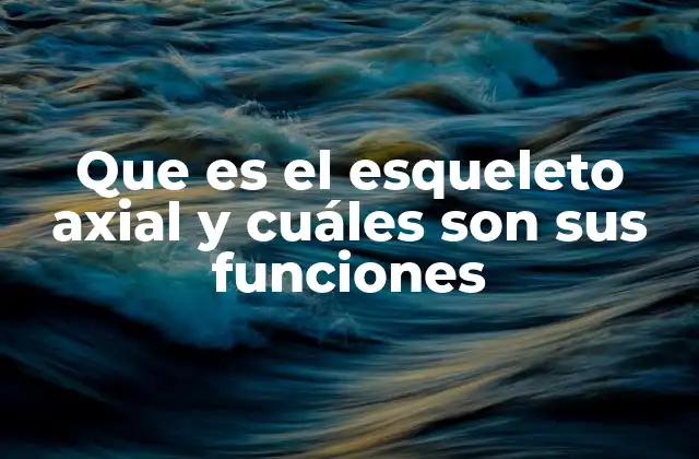 Que es el Esqueleto Axial y Cuáles Son Sus Funciones 2 La importancia del esqueleto axial en la anatomía humana