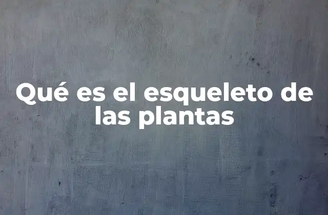 Qué es el Esqueleto de las Plantas