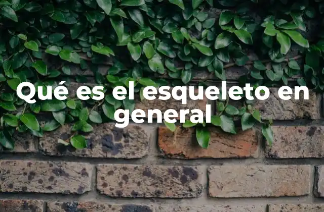 Qué es el Esqueleto en General
