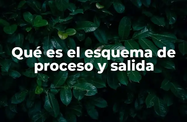 Qué es el Esquema de Proceso y Salida