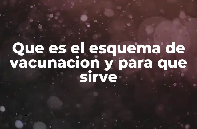 Que es el Esquema de Vacunacion y para que Sirve