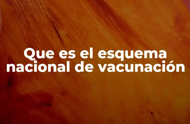 Que es el Esquema Nacional de Vacunación