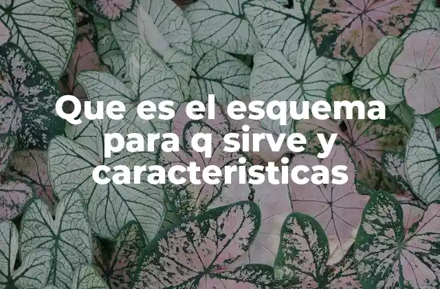 La importancia de organizar la información visualmente