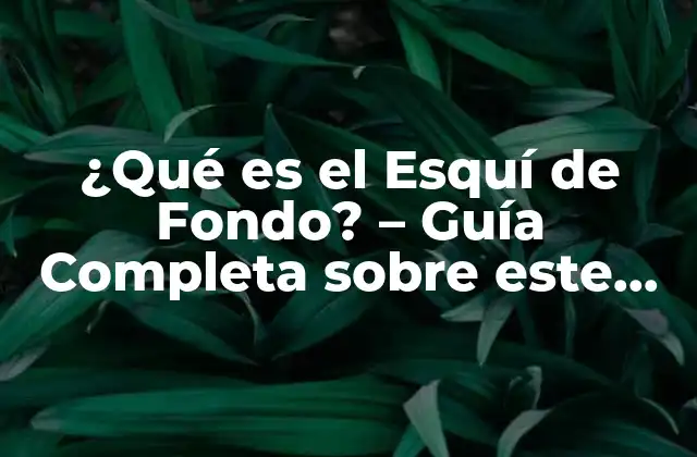 ¿qué es el Esquí de Fondo? - Guía Completa sobre Este Deporte Invernal 2 Orígenes y Evolución del Esquí de Fondo