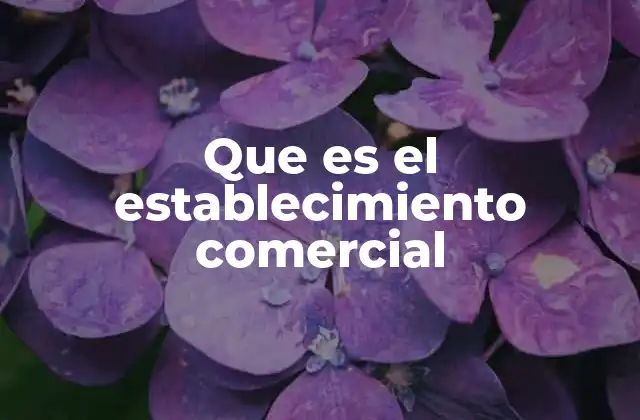 Que es el Establecimiento Comercial