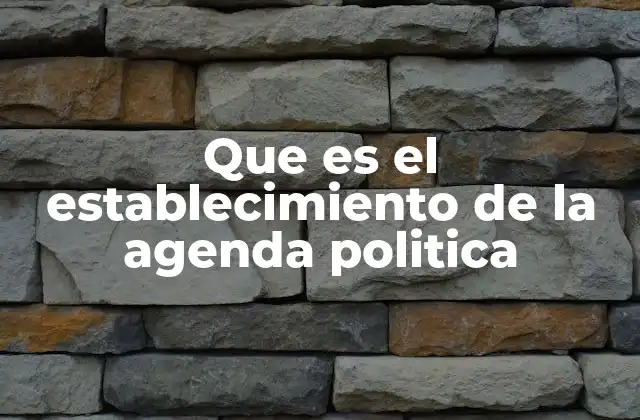 Que es el Establecimiento de la Agenda Politica