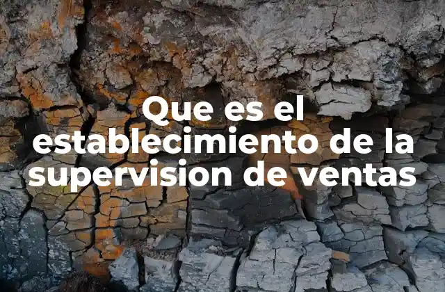 Que es el Establecimiento de la Supervision de Ventas