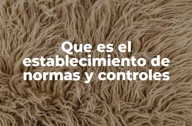 Que es el Establecimiento de Normas y Controles 2 La importancia de estructurar reglas y mecanismos de supervisión