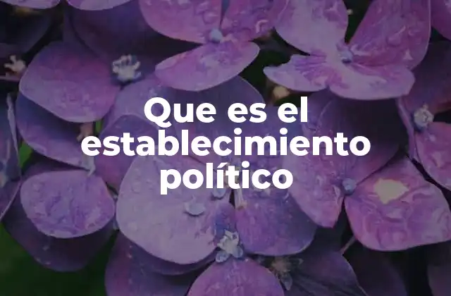Que es el Establecimiento Político 2 El poder detrás del escenario político