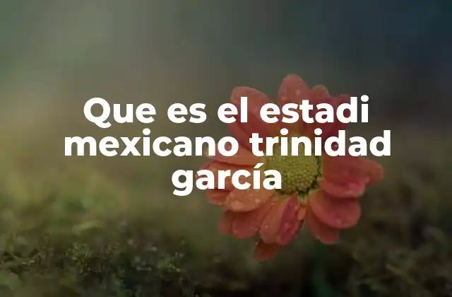 Que es el Estadi Mexicano Trinidad García