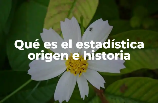 Qué es el Estadística Origen e Historia