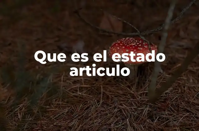 Que es el Estado Articulo