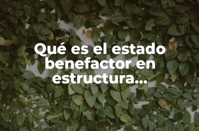 El rol del estado en la protección socioeconómica