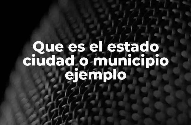 Que es el Estado Ciudad o Municipio Ejemplo