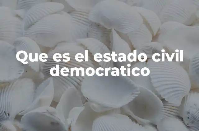 Que es el Estado Civil Democratico