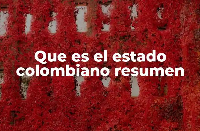 Que es el Estado Colombiano Resumen