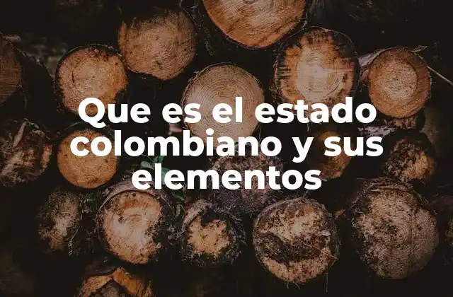 Que es el Estado Colombiano y Sus Elementos