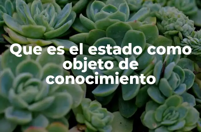 Que es el Estado como Objeto de Conocimiento