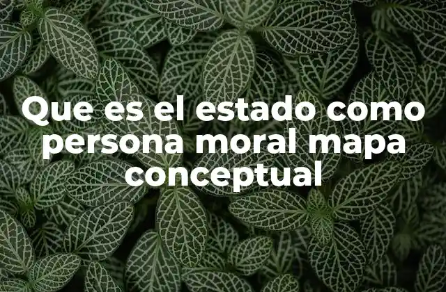 Que es el Estado como Persona Moral Mapa Conceptual