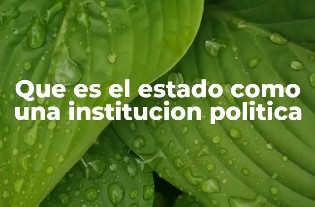 Que es el Estado como una Institucion Politica