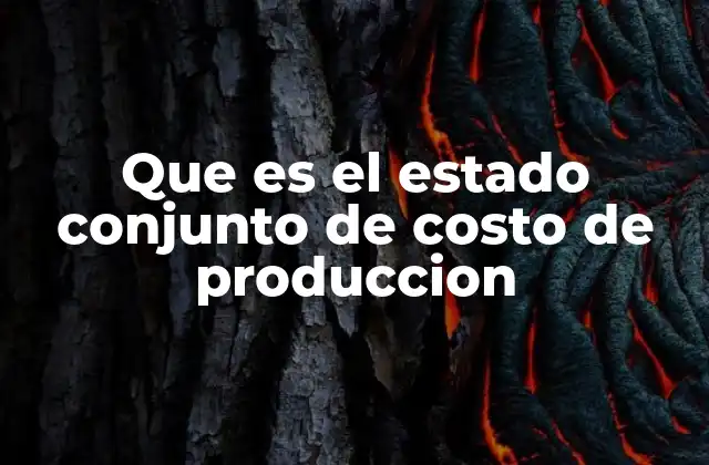 Que es el Estado Conjunto de Costo de Produccion