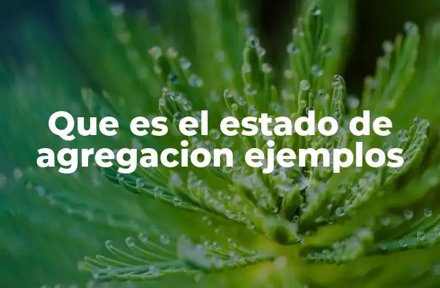Que es el Estado de Agregacion Ejemplos
