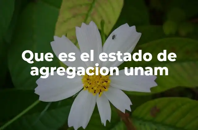 Que es el Estado de Agregacion Unam