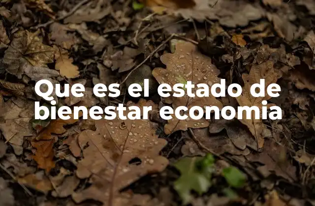 Que es el Estado de Bienestar Economia
