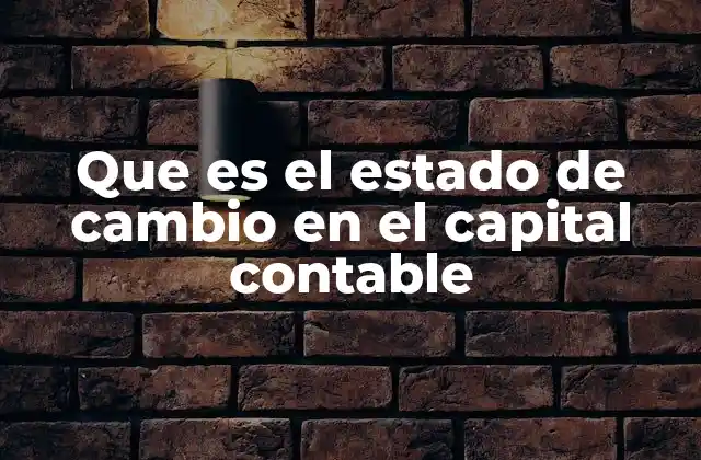 Que es el Estado de Cambio en el Capital Contable