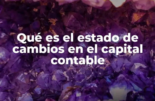 Qué es el Estado de Cambios en el Capital Contable