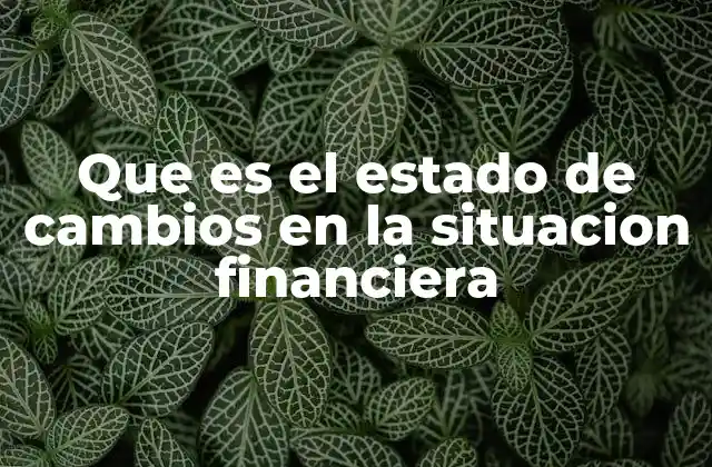 Que es el Estado de Cambios en la Situacion Financiera