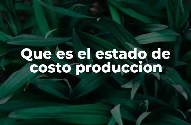 Que es el Estado de Costo Produccion