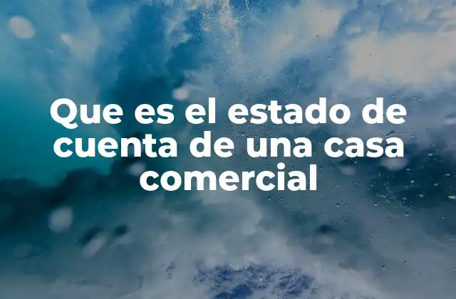 Que es el Estado de Cuenta de una Casa Comercial 2 La importancia del control financiero en el día a día de un negocio
