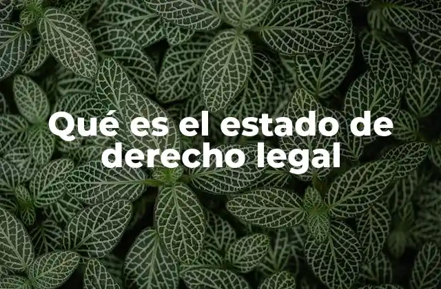 Qué es el Estado de Derecho Legal