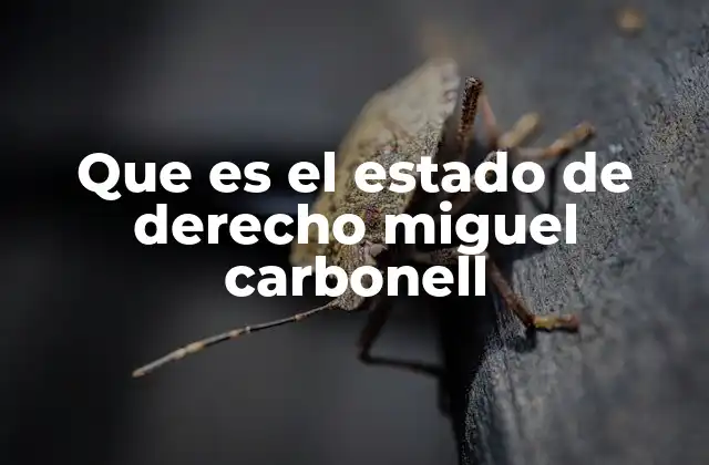 Que es el Estado de Derecho Miguel Carbonell