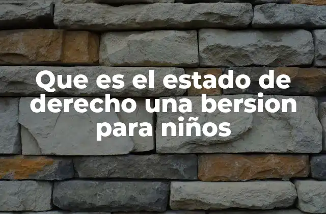 Que es el Estado de Derecho una Bersion para Niños