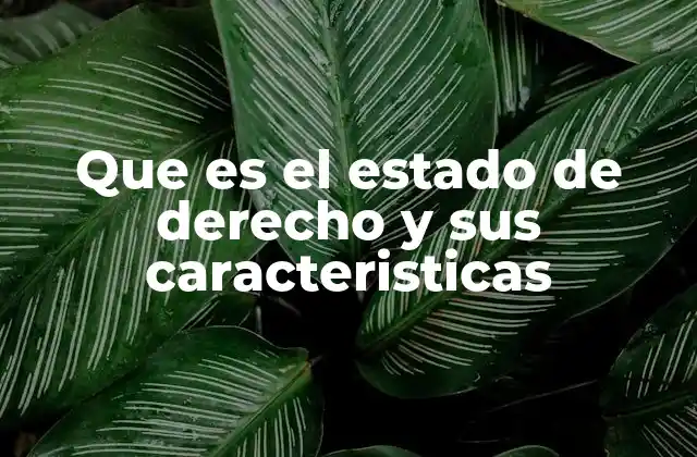 Que es el Estado de Derecho y Sus Caracteristicas