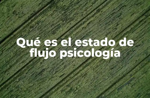 Qué es el Estado de Flujo Psicología