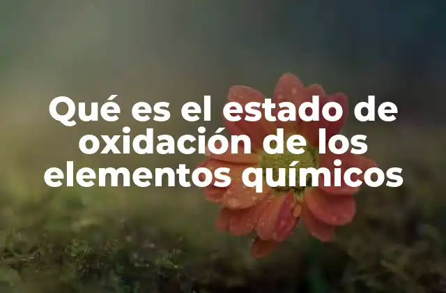 Qué es el Estado de Oxidación de los Elementos Químicos