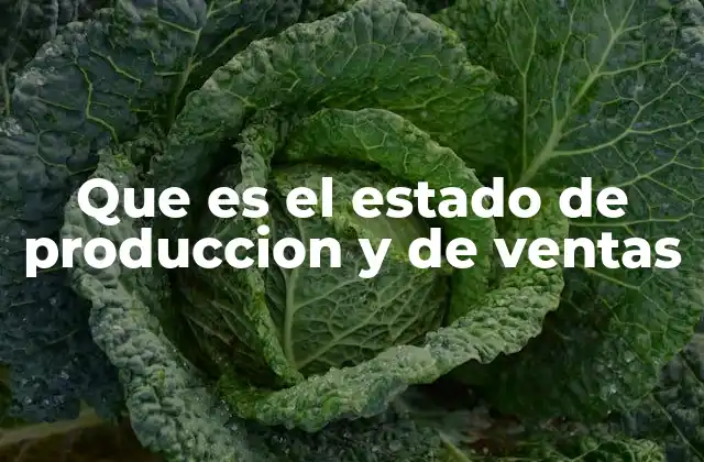 La relación entre producción y ventas en la gestión empresarial