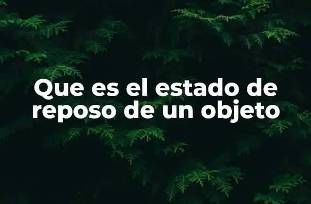 El concepto de inmovilidad desde diferentes perspectivas