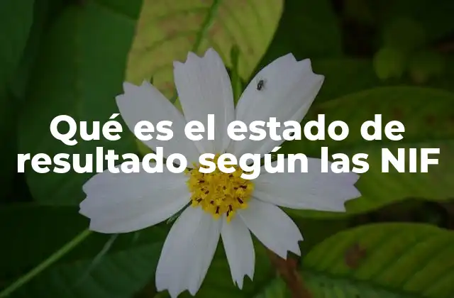 Qué es el Estado de Resultado según las Nif