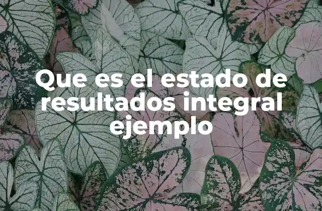 Que es el Estado de Resultados Integral Ejemplo