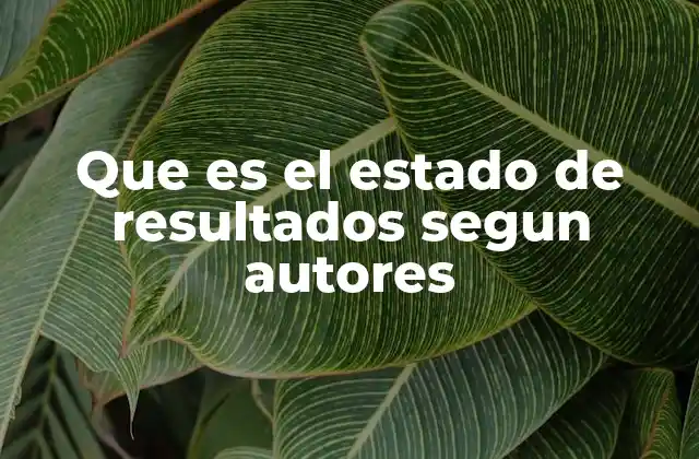 Que es el Estado de Resultados Segun Autores
