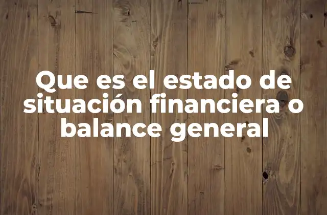 Que es el Estado de Situación Financiera o Balance General