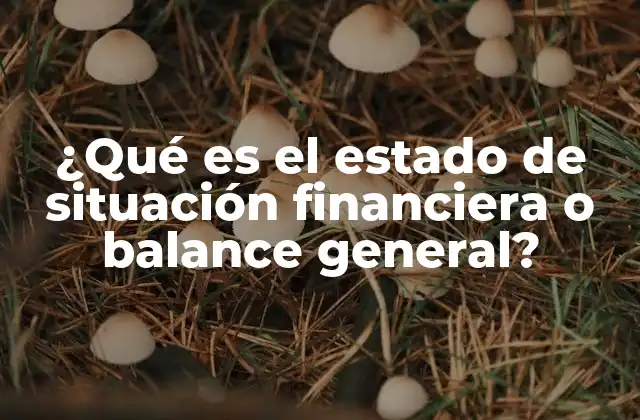 ¿qué es el Estado de Situación Financiera o Balance General?