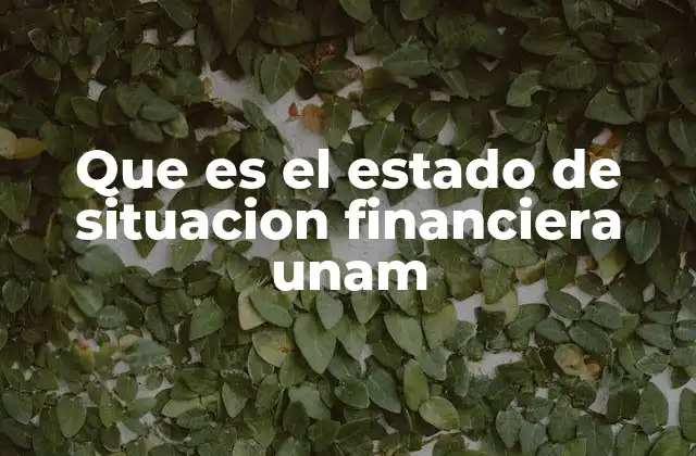 Que es el Estado de Situacion Financiera Unam