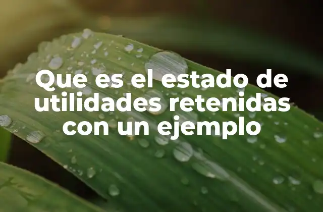Que es el Estado de Utilidades Retenidas con un Ejemplo