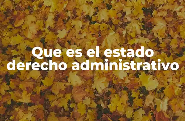 Que es el Estado Derecho Administrativo